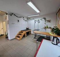 Hunde-Friseursalon 78050 VS-VILLINGEN - Villingen-Schwenningen