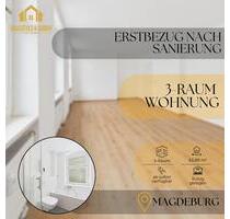 ‍‍ Moderne 3-Raum-Wohnung in Magdeburg frisch saniert