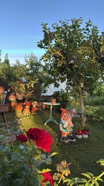 Foto - Grundst&uuml;ck zur Miete in Rostock