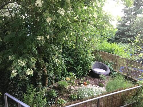 Foto - Helle, ruhige 3-Zimmer Wohnung mit Garten in Veitshöchheim