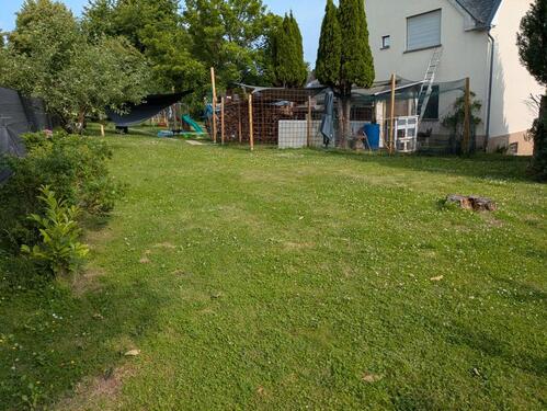 Foto - 5 Zimmer Einfamilienhaus zum Kaufen in Gückingen