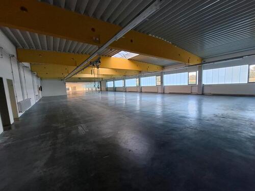 Foto - Lagerhalle zu vermieten - 2,00 EUR Kaltmiete,