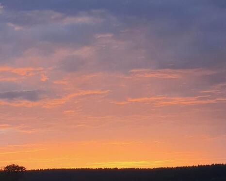 Foto - Niveauvolle 2 Zimmerwohnung mit unverbautem Fernblick