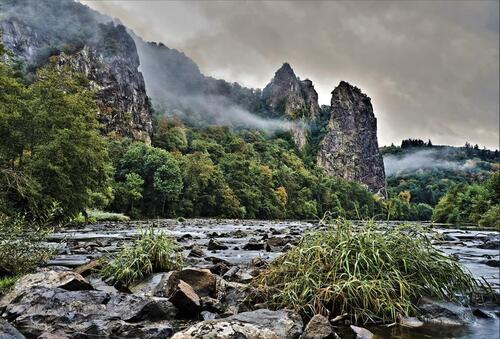 Foto - 2 Zimmer Erdgeschoßwohnung in Bad Kreuznach