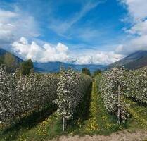 schöne Neubau - Eigentumswohnung im Vinschgau *unkonventioniert* - Garmisch-Partenkirchen Breitenau