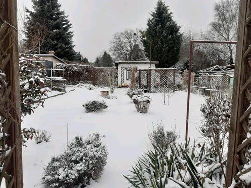 Foto - Grundstück in Dresden