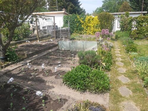 Foto - Grundstück in Dresden zur Miete