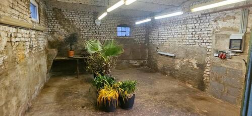 Foto - andere in Meckenheim