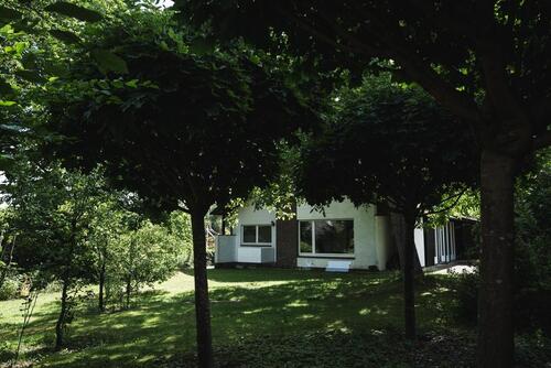 Foto - Klassiker der 60er Jahre - Raum, Licht und gewachsener Garten