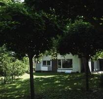 Klassiker der 60er Jahre - Raum, Licht und gewachsener Garten - Mölln