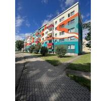 Wohnung 2 Zimmer - 285,00&nbsp;EUR Kaltmiete, ca.&nbsp; 47,49&nbsp;m&sup2; in Schwedt (Oder) (PLZ: 16303)