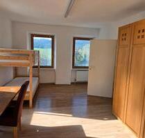 große 1 Zimmerwohnung in Gundelsheim