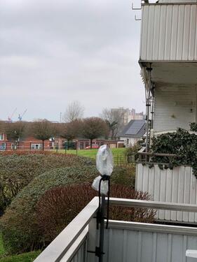Foto - Erdgeschoßwohnung in Husum zum Kaufen