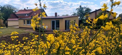 Foto - andere zur Miete in Neustrelitz