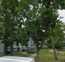 Ruhige 2-Raum-Wohnung - 450,00&nbsp;EUR Kaltmiete, ca.&nbsp; 50,00&nbsp;m&sup2; in Halle (Saale) (PLZ: 06130) Damaschkestraße