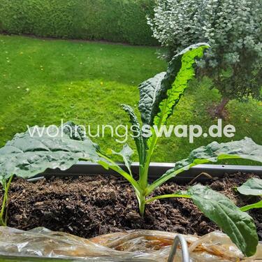 Foto - Etagenwohnung in Freudenstadt zur Miete