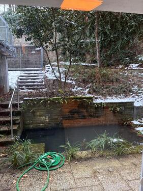 Foto - Etagenwohnung in Aachen zur Miete