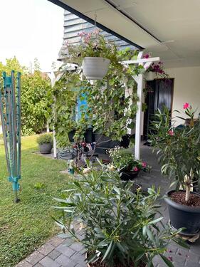 Foto - 4 Zimmer Terrassenwohnung in Wetter (Hessen)