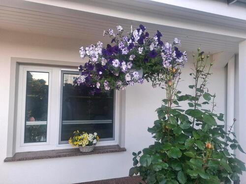 Foto - andere zur Miete in Samtens