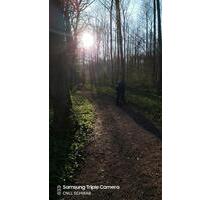 Gartengrundstück zur Pacht - 150,00 EUR Kaltmiete, ca.  0,00 m² in Angelbachtal (PLZ: 74918)