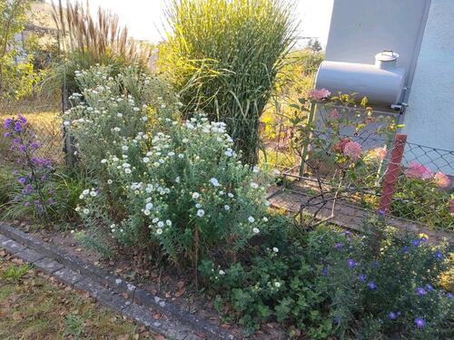 Foto - Grundst&uuml;ck in Berlin zur Miete