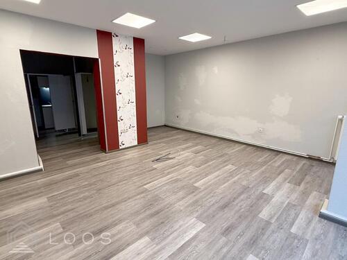 Foto - andere in Herzberg (Elster)