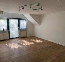 Renovierte 1-Zimmer-Wohnung in Ingelheim-Großwinternheim - Ingelheim am Rhein