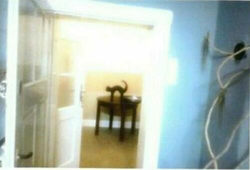 Foto - Einfamilienhaus in Hessisch Lichtenau zur Miete