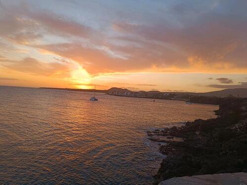 Foto - Ferienwohnung in Tenerife Sur am Meer und mit großem Pool