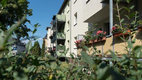 Foto - Etagenwohnung zur Miete in Chemnitz