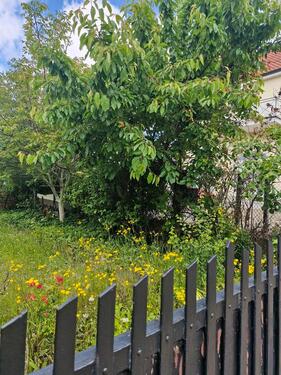 Foto - Haus mit Hof und Garten - 380.000,00 EUR Kaufpreis,