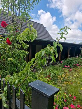 Foto - Einfamilienhaus zum Kaufen in Bergen auf Rügen