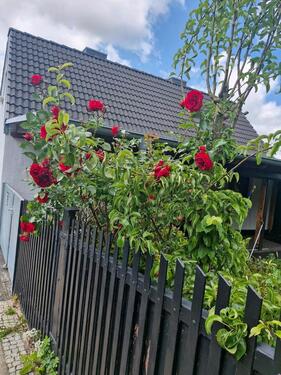 Foto - Einfamilienhaus in Bergen auf Rügen