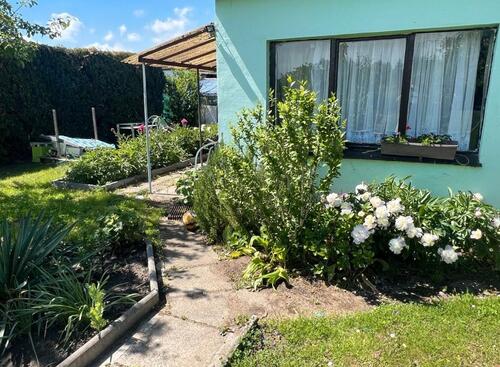 Foto - Gepflegter Kleingarten in Greifswald