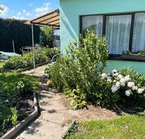 Gepflegter Kleingarten in Greifswald
