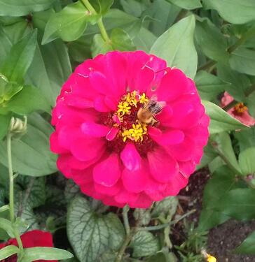 Foto - Betreuungskraft su. Wohnung in B. Wörishofen, biete zusätz Hilfe