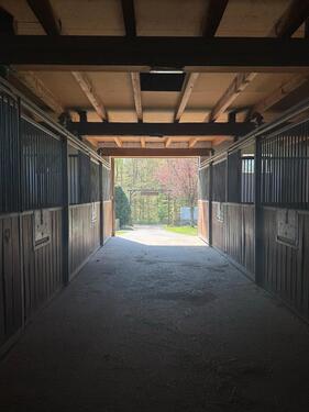 Foto - Einfamilienhaus in Marxzell zum Kaufen