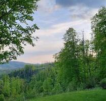 Natur Ferienwohnung Fewo in St. Andreasberg im Harz - Braunlage Sankt Andreasberg