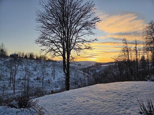 Foto - andere in Braunlage