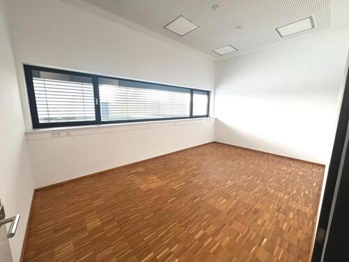 Foto - andere in Langenau