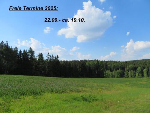 Foto - andere zur Miete in Adorf/Vogtland