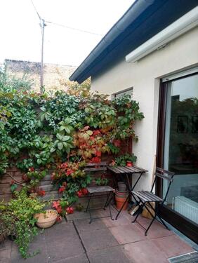 Foto - Kleines Haus, grosse Terasse, ca. 70qm, Wiesbad. Vorort Igstadt