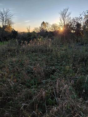 Foto - Grundstück zur Miete in Freiburg im Breisgau