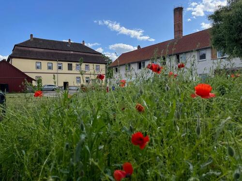 Foto - Handwerkerwohnung 85 m² & Nebenfläche bei Erfurt - Selbstausbau