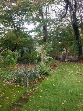 Foto - Etagenwohnung in Hamburg zur Miete