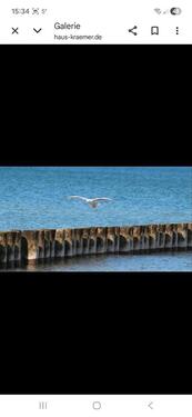 Foto - Ferienhaus in Zingst - 450,00&nbsp;EUR Kaltmiete,