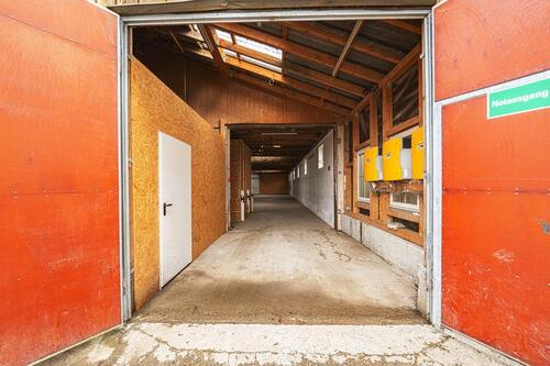 Foto - andere in Blaubeuren