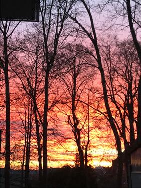 Foto - 2 Zimmer Etagenwohnung zur Miete in Kiel