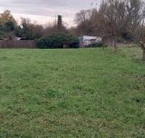 Wiesen Grundstücke zum vermieten - Landau in der Pfalz