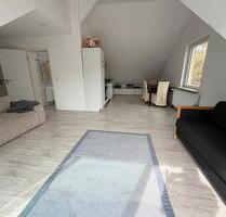 Großräumige helle Dachgeschosswohnung - Hitzacker (Elbe)
